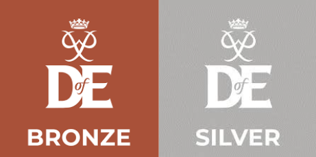 Silver Dofe Logo Duke Of Edinburgh s Award Bronze Silver Gold 